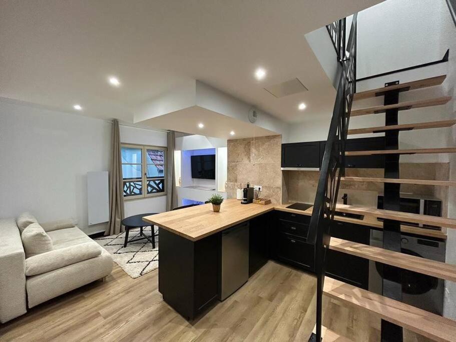 Le Darcy, Grand Appartement Centre Ville Dijon, Proche Gare Dış mekan fotoğraf
