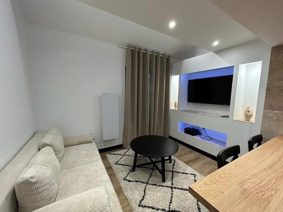 Le Darcy, Grand Appartement Centre Ville Dijon, Proche Gare Dış mekan fotoğraf